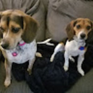 Meet your Posher, Krista